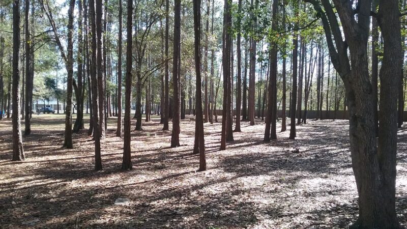 Everitt Avenue Dog Park - Panama City, FL