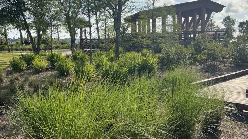 Lynn Haven Bayou Park and Preserve Parking - Panama City, FL