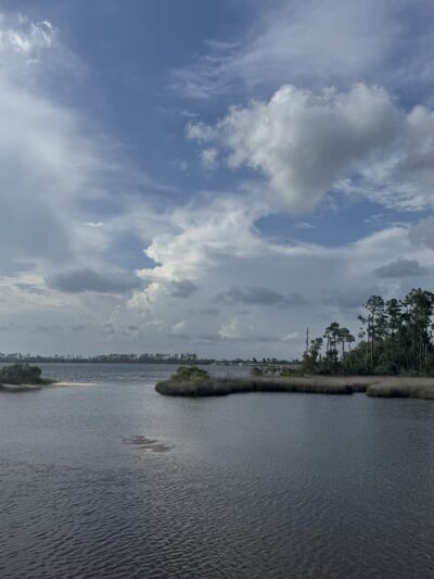 Lynn Haven Conservation Park Hiking Trail - Panama City, FL