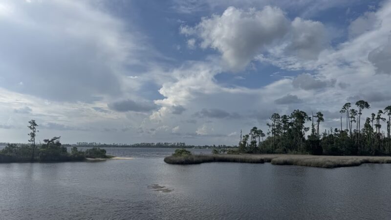Lynn Haven Conservation Park Hiking Trail - Panama City, FL