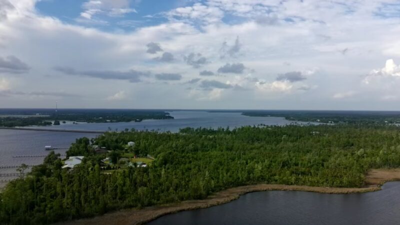 Lynn Haven Conservation Park Hiking Trail - Panama City, FL