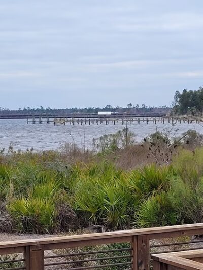 Lynn Haven Conservation Park Hiking Trail - Panama City, FL