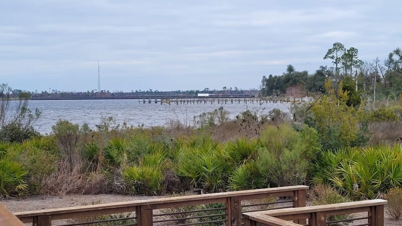 Lynn Haven Conservation Park Hiking Trail - Panama City, FL