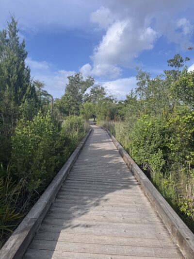 Lynn Haven Conservation Park Hiking Trail - Panama City, FL
