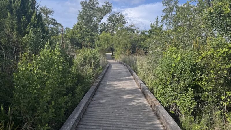 Lynn Haven Conservation Park Hiking Trail - Panama City, FL