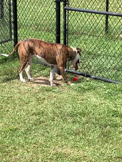 Zollie Young Park - Panama City, FL