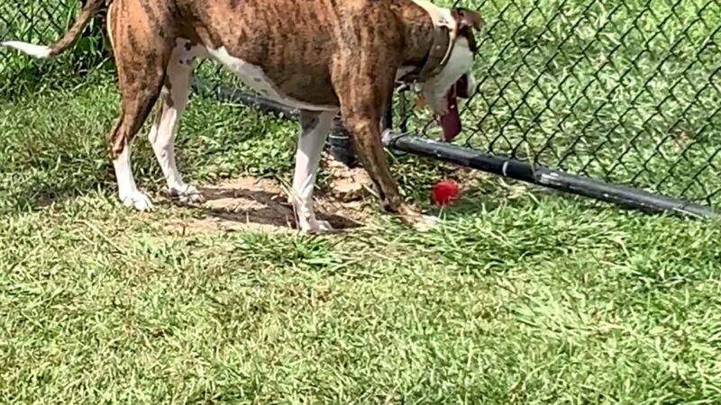 Zollie Young Park - Panama City, FL