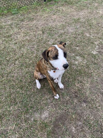 Zollie Young Park - Panama City, FL