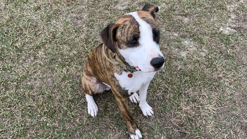 Zollie Young Park - Panama City, FL