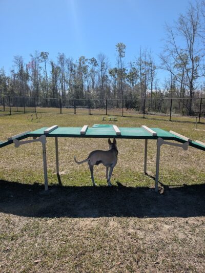 Zollie Young Park - Panama City, FL