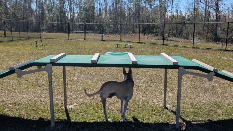 Zollie Young Park - Panama City, FL