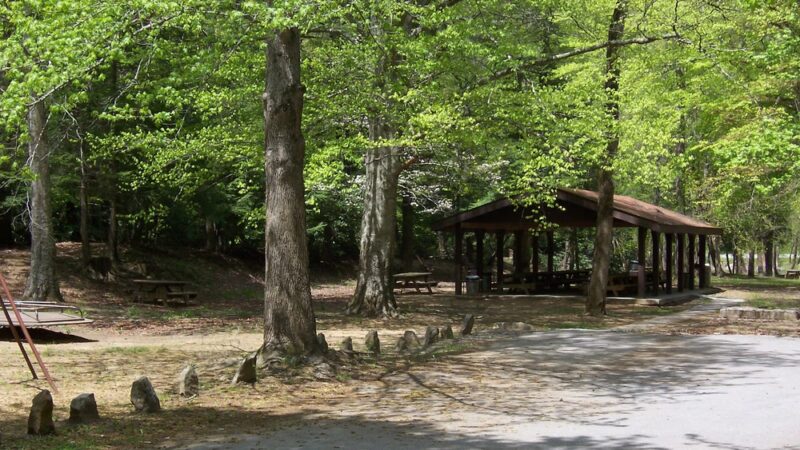 Panther State Forest - Panther, WV