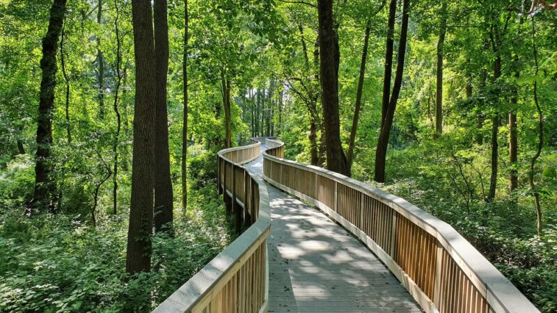 Fox Hollow Trail - Paoli, PA