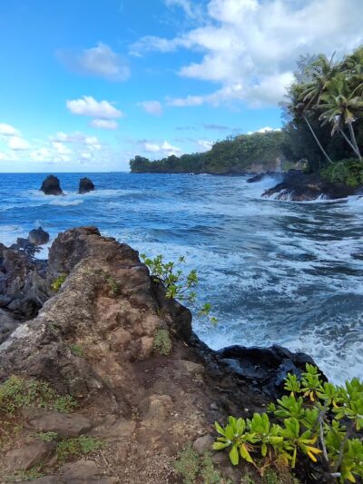 Donkey Trail Trailhead - Papaikou, HI
