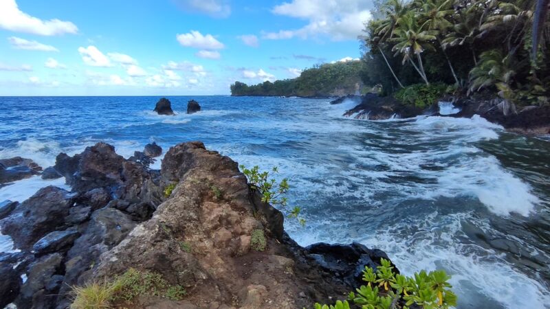 Donkey Trail Trailhead - Papaikou, HI