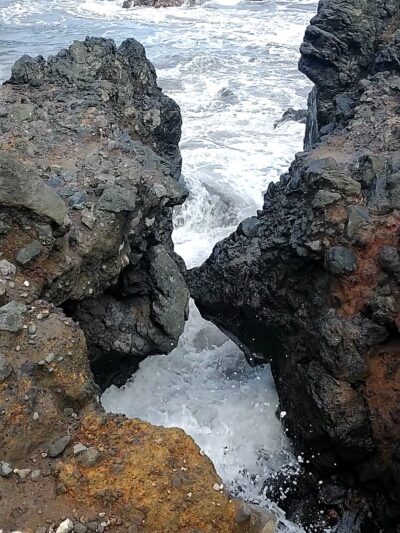 Donkey Trail Trailhead - Papaikou, HI