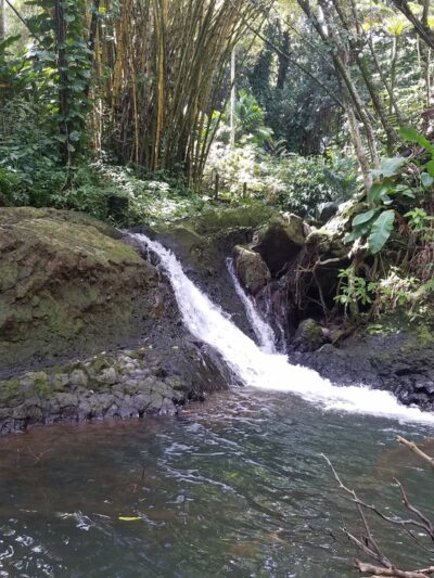 Donkey Trail Trailhead - Papaikou, HI