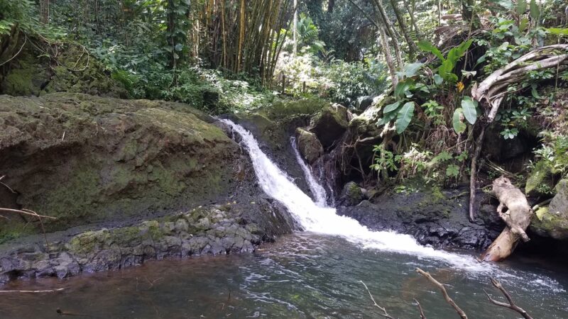 Donkey Trail Trailhead - Papaikou, HI