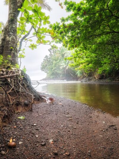 Donkey Trail Trailhead - Papaikou, HI