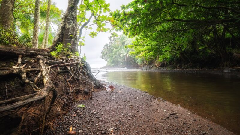 Donkey Trail Trailhead - Papaikou, HI