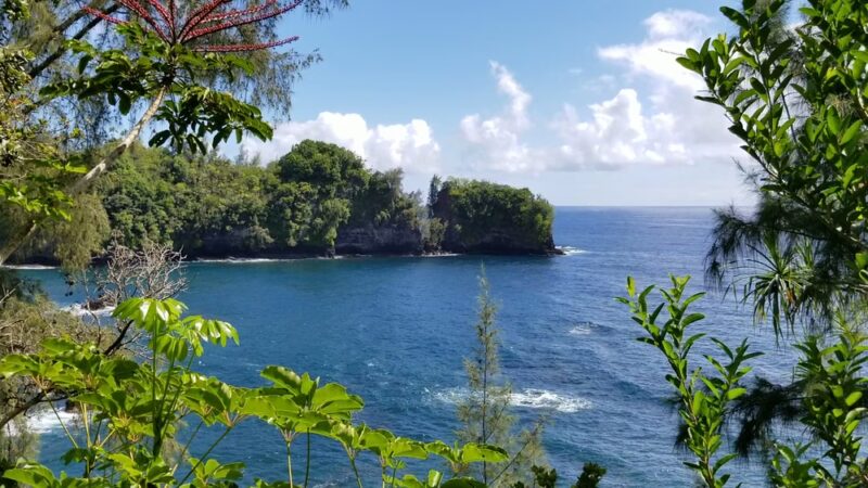 Onomea Bay Trail - Papaikou, HI
