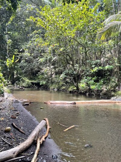 Onomea Bay Trail - Papaikou, HI