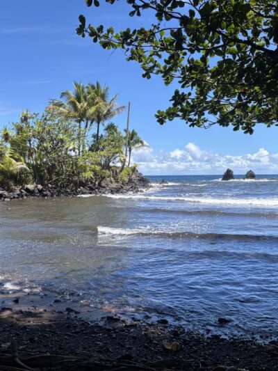 Onomea Bay Trail - Papaikou, HI