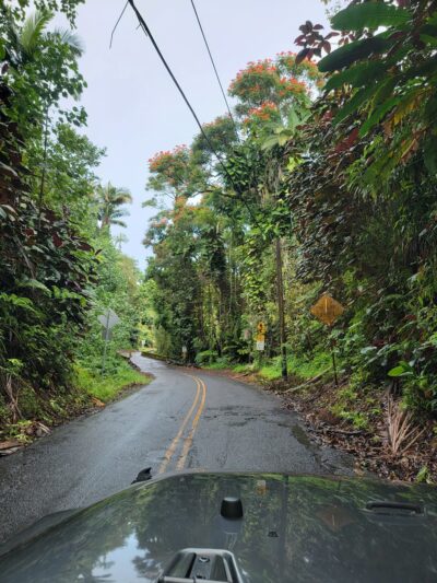 Papaikou - Papaikou, HI
