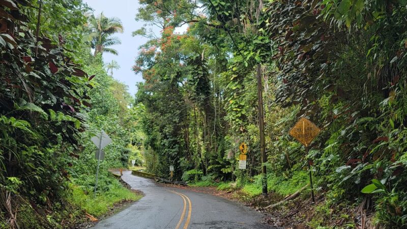 Papaikou - Papaikou, HI