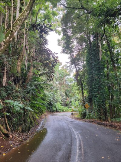 Papaikou - Papaikou, HI