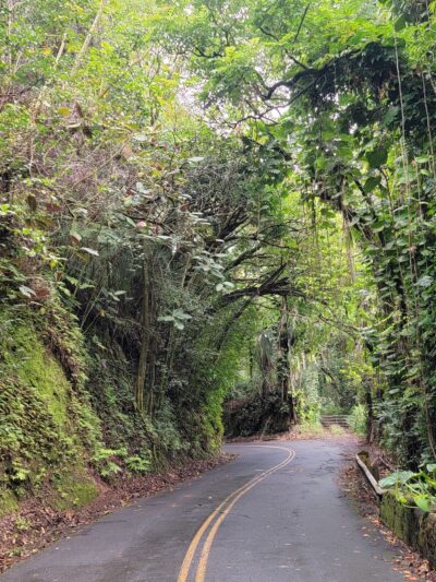 Papaikou - Papaikou, HI