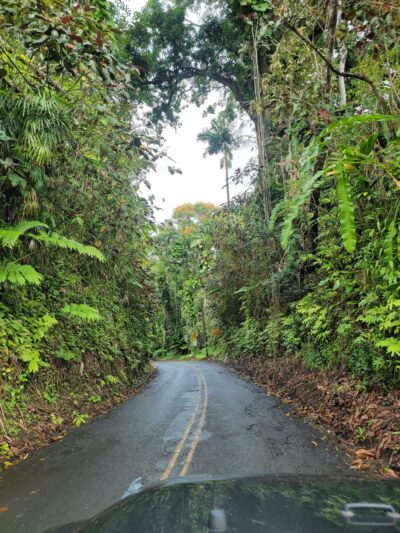Papaikou - Papaikou, HI