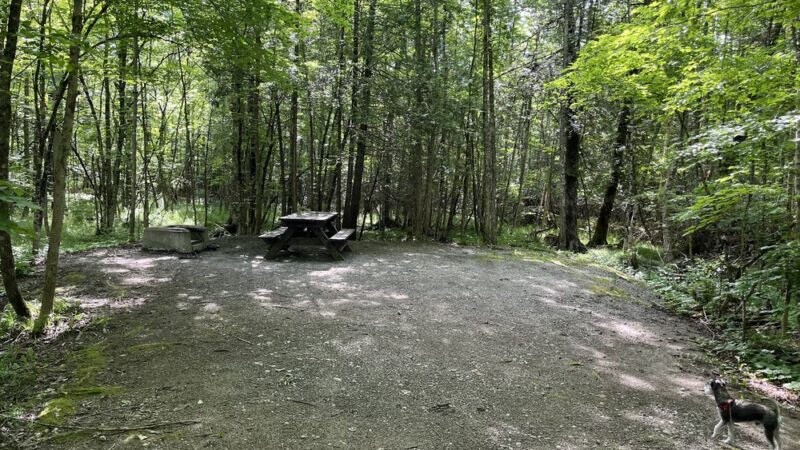 Paradox Pond Campground - Paradox, NY