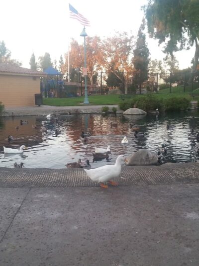 Spane Park - Paramount, CA