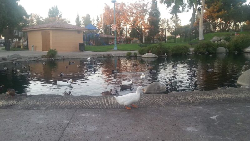 Spane Park - Paramount, CA