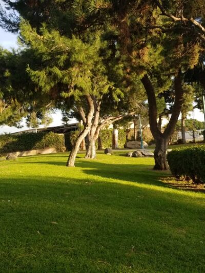 Spane Park - Paramount, CA