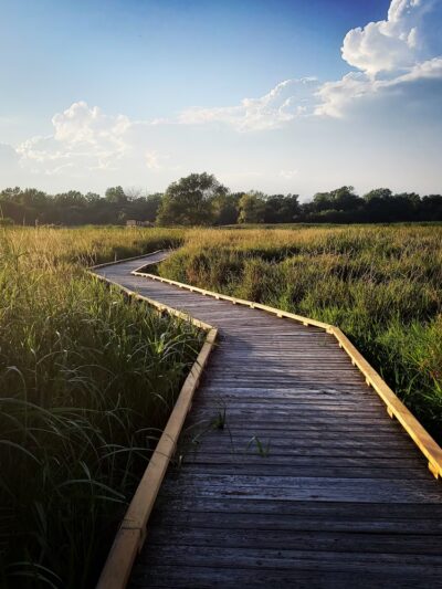 Central Park - Park Forest, IL