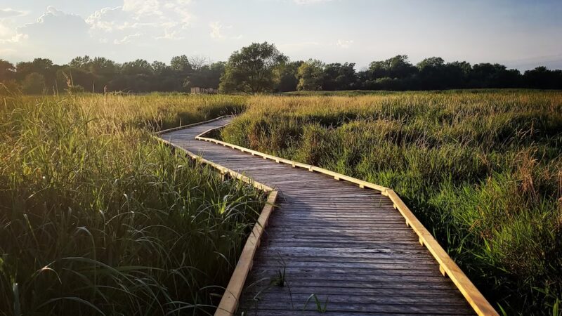 Central Park - Park Forest, IL