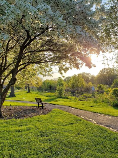 Central Park - Park Forest, IL