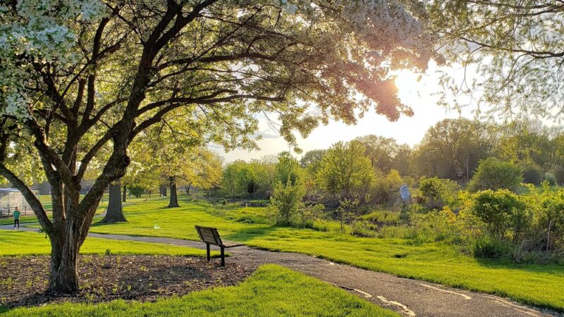 Central Park - Park Forest, IL