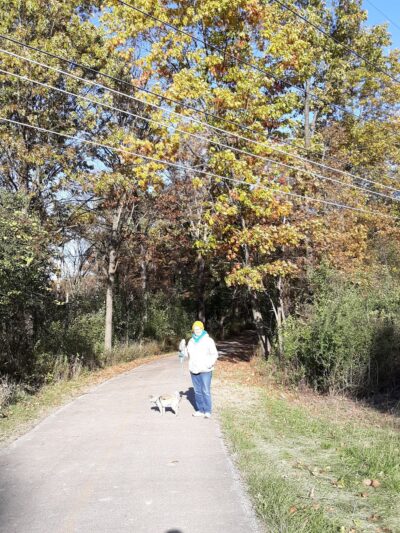 Thorn Creek Trail Access - Park Forest, IL
