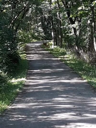 Thorn Creek Trail Access - Park Forest, IL