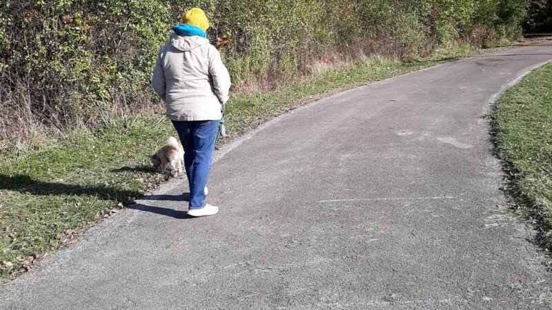 Thorn Creek Trail Access - Park Forest, IL