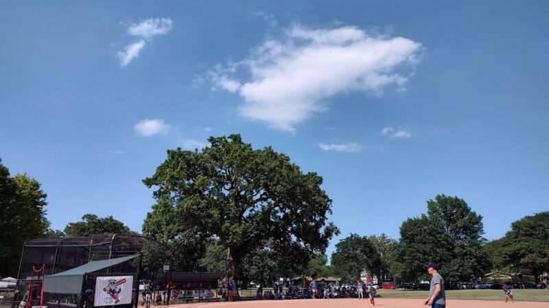 Northwest Park - Park Ridge, IL