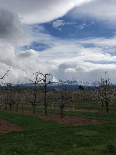 Parkdale - Parkdale, OR