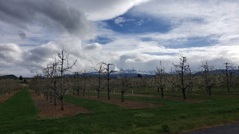 Parkdale - Parkdale, OR