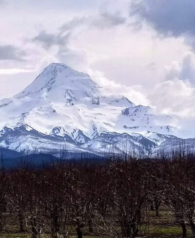 Parkdale - Parkdale, OR