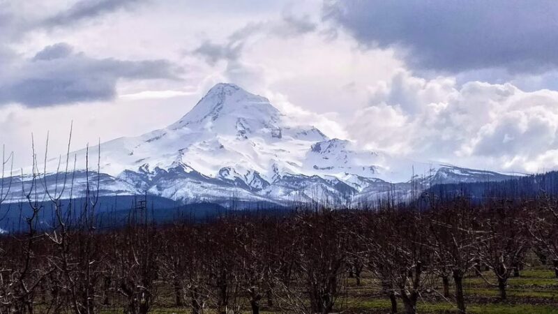 Parkdale - Parkdale, OR