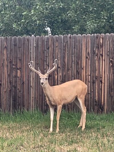 Deer Trail Park - Parker, CO