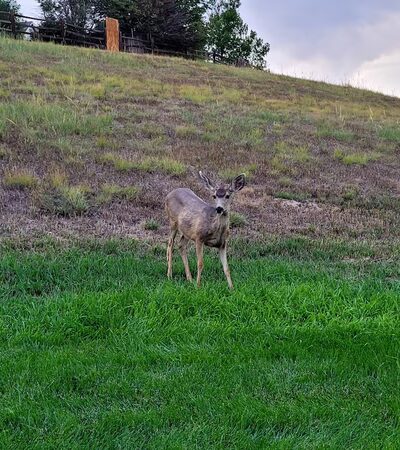Deer Trail Park - Parker, CO